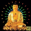 Tầm nhìn xuyên suốt về giáo lý Phật
