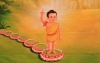 Đức Phật đản sinh - Suối nguồn từ bi và bình đẳng