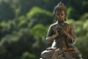 Khai thị cho người mới phát tâm học Phật