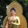 Khai thị pháp môn niệm Phật