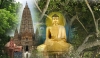 Đạo Phật bao dung nhất hành tinh