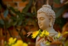 Lời Phật dạy về ngày lành tháng tốt