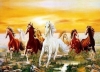Hình ảnh ngựa trong văn hóa Đông – Tây