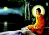 Kính mừng Đại lễ Đức Phật thành đạo