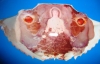 TP.HCM: Hốt hoảng phát hiện hình Phật trên thân ghẹ khi bóc mai để ăn