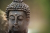 Suy nghiệm lời Phật: Khéo điều phục các căn