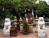 Vụ sư tử Trung Quốc ngự tại đền chùa VN: “Đây quả thực là một sai lầm”