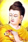 Tâm từ bi của đức Phật Thích Ca Mâu Ni