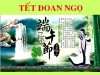 Tết Đoan Ngọ có nguồn gốc từ Việt Nam?