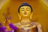 Tứ thần túc trong Phật giáo là gì?
