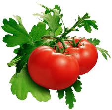 Ăn nhiều cà chua có thể làm giảm nguy cơ đột quỵ