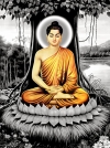 100 Lời dạy của đức Phật giúp bạn nhận ra chân lý cuộc đời