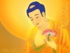 Lòng từ bi của Đức Phật A Di Đà