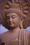 Lời Phật dạy: Hãy nhớ tinh tấn, chớ có lười biếng