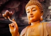 Có phải cứ niệm Phật thì sẽ thấy Phật?