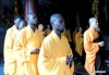 Buồn vui chuyện Phật ở Lục Địa Đen (Hạt giống Phật pháp đã nảy mầm ở châu Phi)