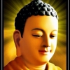 Thiền - Tịnh - Mật phương pháp tu đặc thù của Đạo Phật Việt