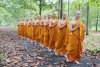 Phim Phật và Thánh chúng: Hãy chung tay vì đại cuộc!