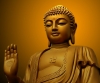 Đạo Phật với con người (P.1)
