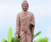 Phật dạy sắc đẹp làm con người mê muội