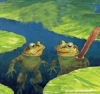 Câu chuyện về hai chú ếch! Sức mạnh của sự động viên!