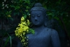 Hạnh phúc và hạnh phúc thực sự theo quan điểm Phật giáo