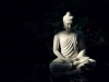 Phật dạy, lười biếng là khổ, làm các hạnh ác, có tổn hại...