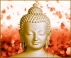 Chân như quan của Phật giáo - Mục Lục