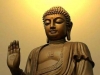 Phật pháp trường tồn