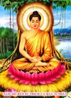 Vì sao Phật ngồi trên đài sen?