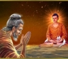 Phật tử vì sao lại phải tín ngưỡng Tam Bảo?