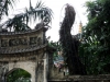 Cận cảnh 'cụ' sưa trị giá 2 triệu USD của chùa Phụ Chính bị cưa trộm trong siêu bão