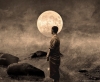 Phật dạy: Tỷ kheo, khi đi đến các gia đình hãy giống như mặt trăng
