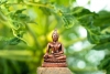 Biết dừng mới an