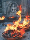 Xu hướng“thế tục hóa” trong Phật giáo hiện nay