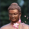 Lời Phật dạy về tình yêu và tình dục