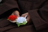 Bông hồng cài áo: Để dâng mẹ, và để làm quà Vu Lan cho những người nào có diễm phúc còn mẹ