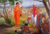 Đức Phật và câu chuyện “cày ruộng và gieo hạt”