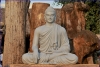 Lời giảng vi diệu của Đức Phật về thuật lãnh đạo