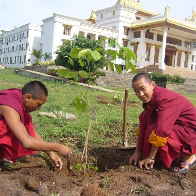 Nghĩ đến quả trước khi gây nhân
