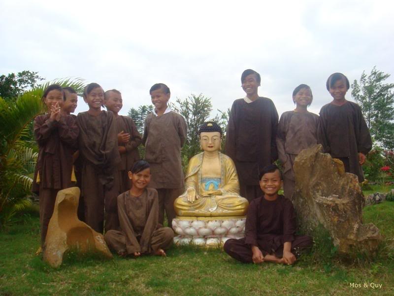 Ươm cây giữa vườn đời