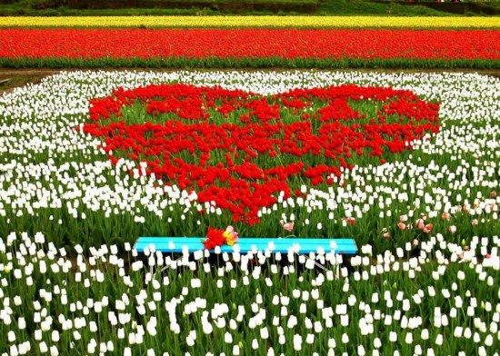 Con người hơn nhau ở điểm nào?