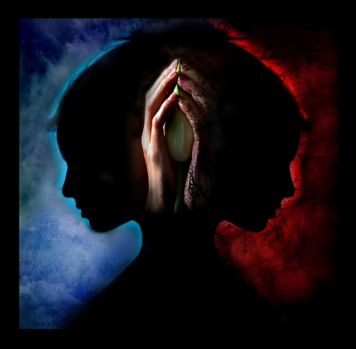 Trong tâm thức của chúng ta cũng có hai đặc tính căn bản của hoa và rác.