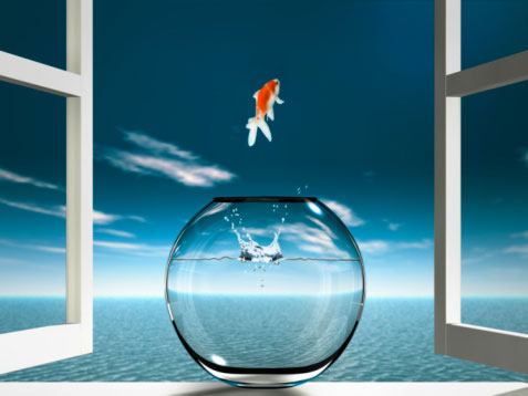 Thảnh thơi trong ràng buộc