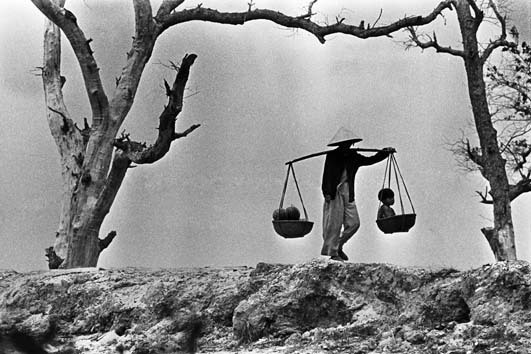 Phật xử kiện: Tình Mẹ