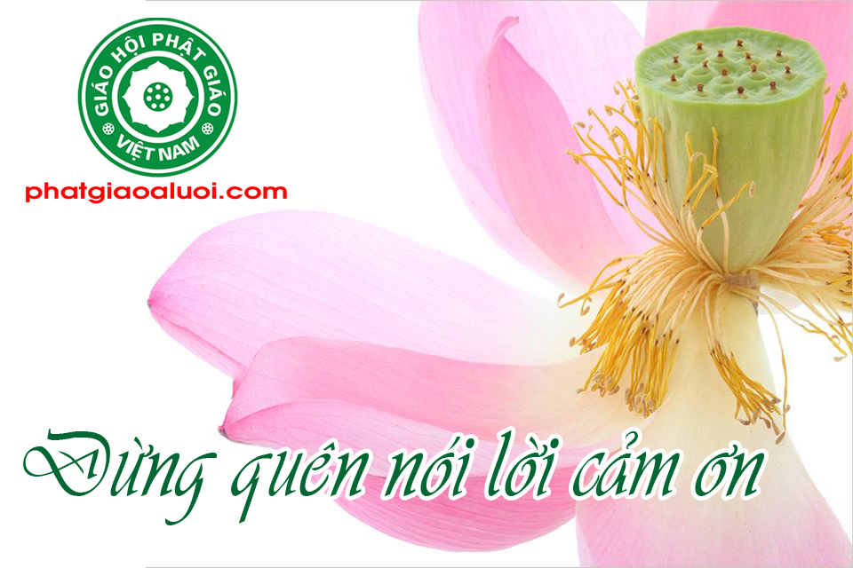 Đừng quên nói lời cảm ơn
